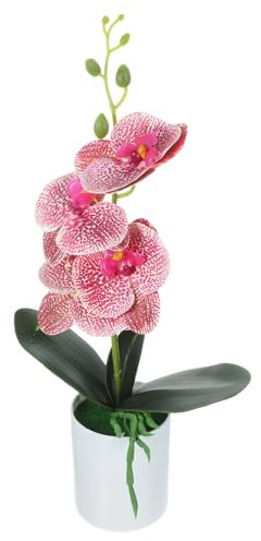 DECHOUS Künstliche Orchidee Im Topf Simulierte Orchideenblüten Desktop- Für Den Weltraum