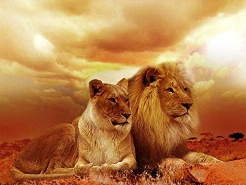 AFuruide Holz Puzzle Puzzle 1000 Teile Der König der Löwen 1000 Stück Holzpuzzle Lernspielzeug für Familienunterhaltung für Erwachsene und Kinder 75cm*50cm