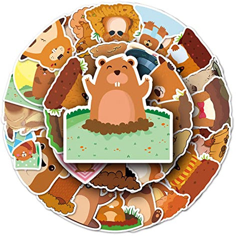 Adesivo per laptop (50 pezzi), regalo per bambini, adolescenti, adulti, ragazzi, adesivi in vinile impermeabili, per scrapbooking, skateboard, auto, bagagli