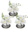 Briful Set di 3 orchidee artificiali in vaso di vetro Dimgrey, orchidee bianche fiori finti in acqua finta fiori artificiali per decorazione piante finte per soggiorno bagno ufficio arredamento