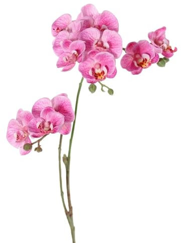 artplants.de Kunst Zweig Phalaenopsis Orchidee VILLANI, rosa-pink, 65cm - Künstlicher Orchideenzweig