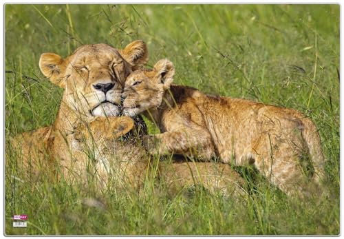 VELOFLEX 4650094 - Schreibtischunterlage Löwen, 35 x 50 cm, rutschfest, abwaschbar, mit transparenter Antireflex-Schutzfolie, Schreibtischauflage, Malunterlage, Bastelunterlage, 1 Stück