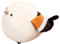 Ciieeo Meise Plüschpuppe Flauschiger Vogelplüsch Vogel-modellierpuppe Cartoon Gefüllte Puppe Papageien-umarmungskissen Ausgestopfte Vogelpuppe Dekokissen Tier Daunen Baumwolle