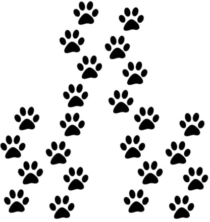 Adesivo Zampa Gatto per Auto 24 Pezzi in PVC Nero Decorativo | Finestrino e Carrozzeria, Effetto Decorativo, Non Si Crepa Facilmente, Non Lascia Tracce