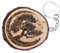 generico Portachiavi in legno naturale con albero della vita giapponese bonsai