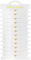 Sunshine smile 12 Stück JGA Armbänder Frauen,JGA Accessoires Frauen,Jungesellinenabschied Accessoires,Team Braut Armbänder Junggesellinnenabschied für Junggesellenabschied,Hochzeit