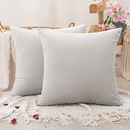 MIULEE 2er Set Samt Kissenbezüge Kissenhülle Kissenbezug Sofakissen Dekorative Dekokissen Couchkissen Zierkissen mit Verstecktem Reißverschluss für Sofa Schlafzimmer 55x55 cm Grau Weiß