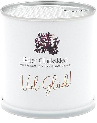 MacFlowers® | Anzucht-Set mit Lila Glücksklee | Viel Glück | Nachhaltiges Geschenk in süßer instant gardening Blumendose | Geschenk mit Herz Blatt