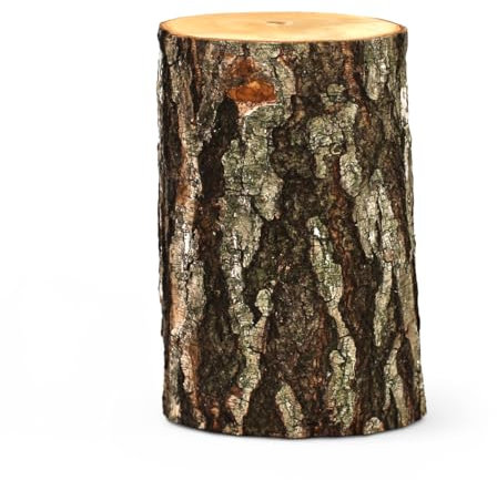 Tronc d'arbre en bois vintage - Tronc en bois de bouleau à poser - 25 x 35 cm - Pour décoration et bricolage - Souche naturelle pour l'intérieur comme tabouret, support de fleurs ou bloc à découper