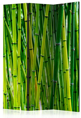RAUMTEILER/PARAVENT B&D XXL Raumteiler Spa Zen Bambus Natur Foto Paravent 135x172 cm beidseitig auf Vlies-Leinwand Bedruckt Trennwand Spanische Wand Sichtschutz Raumtrenner Home Office grün