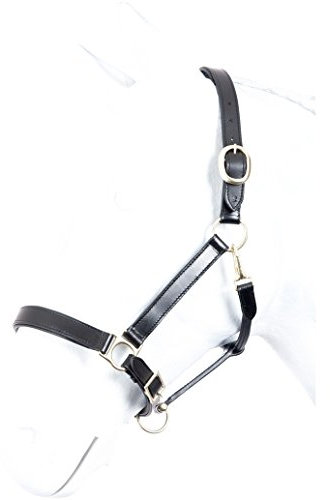 Lederhalfter ROBUST Marengos schwarz Shetty