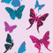 Schmetterling Tapete für Mädchenzimmer | Kindertapete in Pink und Blau | Tier Tapete ideal für Kinderzimmer von Mädchen