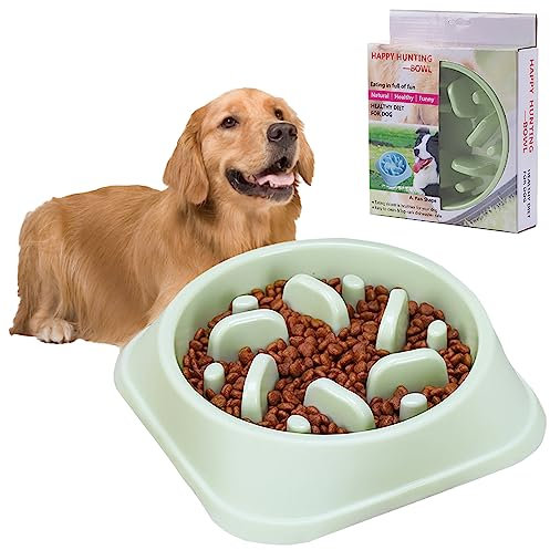 Gamelle Anti-Glouton pour Chien avec Base Antidérapante - Lave-Vaisselle Compatible - Pour Temps d'Alimentation Prolongé