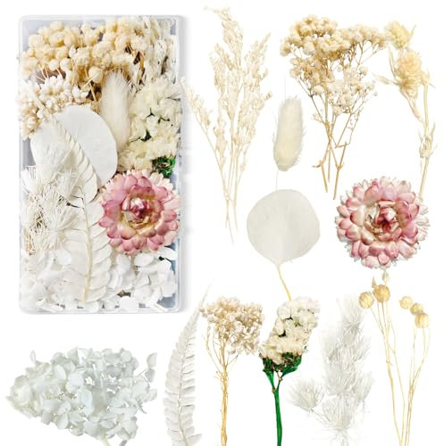 Trockenblumen Weiß Trockenblumen zum Basteln Trockenblumen Klein Getrocknete Blumen Deko Trockenblumen Basteln für DIY Basteln Handwerk Epoxidharz Scrapbooking Dekoration Trockenblumen Deko 10 Arten
