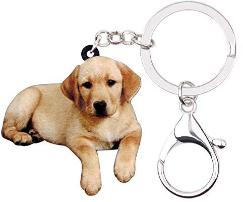 WEVENI Acryl Labrador Retriever Hund Schlüsselanhänger Haustiere Schlüsselring neue Schmuck für Frauen Mädchen Tasche Geldbörse Auto (Braun)
