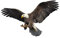 Adler Auto Aufkleber, Asudaro Autotattoo Adler Autoaufkleber 3D Flamme Adler Aufkleber Anti-Kratzer Motorhaube Karosserie Aufkleber Auto Emblem Sticker Auto Racing Aufkleber,Stil 3