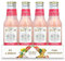 DOUBLE DUTCH Pink Grapefruit Soda 24 x 200ml bottles Low Calorie Perfect Mixer for Cocktails, No Artificial Colours Preservatives or Flavours (Pack of 24)
