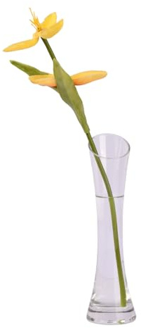 Culinavog Kleine Blumenvase, vase schmal, hoch schmal, Mini-Öffnung Glasvase Transparent für Dekorative Heimdekoration, Wohnzimmer, Büro, Esstisch, Tafelaufsätze, 20cm