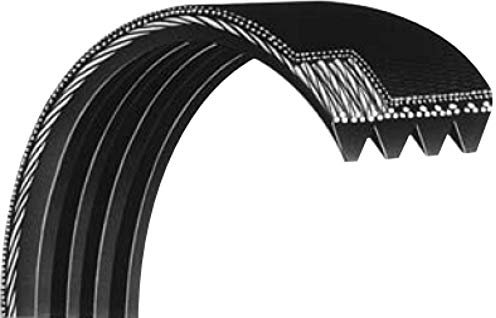 Courroie Striée/Poly-V 280PJ4 4 Dents/Code RMA 110J4 Looxe pour EINHELL BEH600, TECHNI PRO PP11 PP12 PP31 PP05 PP02 NS02