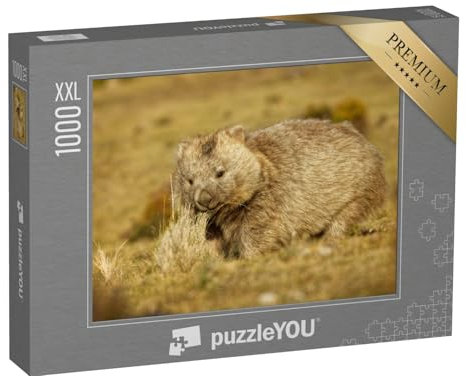 Puzzle 1000 Teile XXL „Wombat im abendlichen Tasmanien“ – aus der Puzzle-Kollektion Wombats, Exotische Tiere & Trend-Tiere
