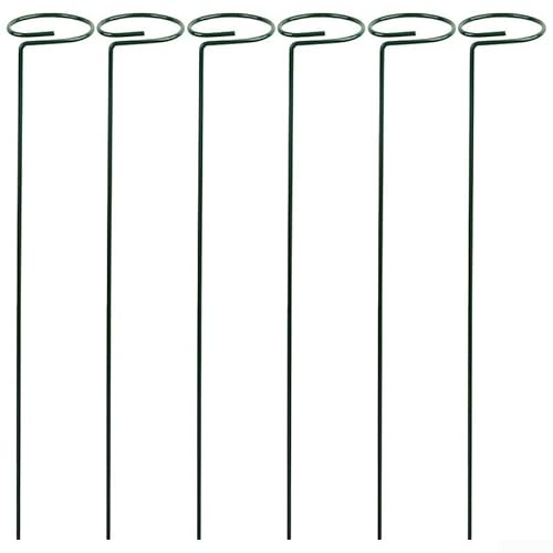 6Pcs Metal Plant Climbing Brackets for Indoor, Outdoor, Garden, Patio Use(40CM)