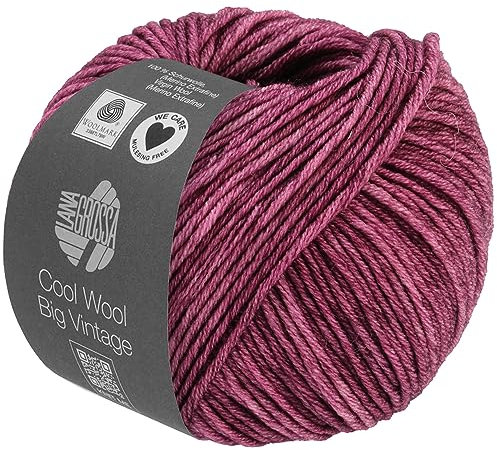 LANA GROSSA Cool Wool Big Vintage | Merinoklassiker mit Ton-in-Ton Farbeffekt | Handstrickgarn aus 100% Schurwolle (Merino extrafein) | 50g Wolle zum Stricken & Häkeln | 120m Garn FB 7165