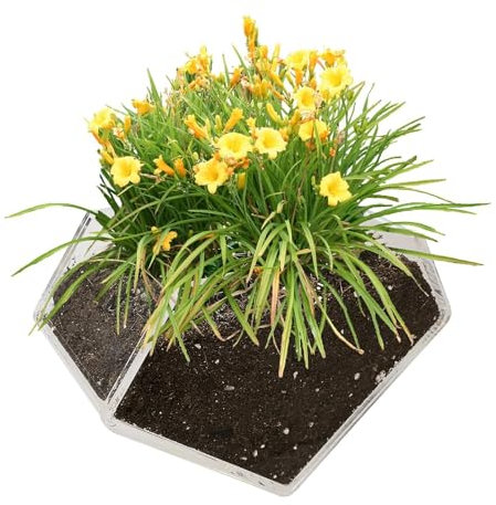 Acryl-Fenstertopf – Durchsichtiges Acryl-Blumentopf, Fensterpflanzgefäß als Heimdeko | Blumentopf für den Innenbereich mit Abflussloch, rechteckiges Pflanzgefäß, Blumenkasten für Zuhause