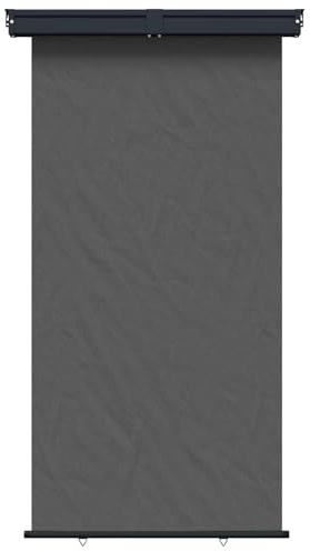 vidaXL Balkon Seitenmarkise 160 x 250 cm 100% Polyester Eisen Stahl