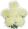 6 Stück Künstliche Chrysantheme Seiden, kunstblumen Hortensien Seide plastikblumen, Realistische Blume Silk für Wohnzimmer Büro Dekor Tisch Küche #2