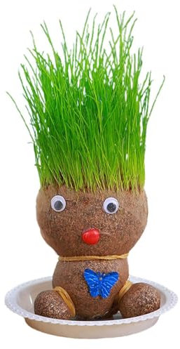 Graskopf Puppen Pflanze, 2 Stück Graskopf Bonsai mit Tablett für Garten Zuhause Dekoration, Züchten Sie Ihre eigene Pflanze, Lustiges Experiment Geschenk für Kinder Herren Damen Jungen Mädchen