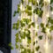 Garden Mile Solar String Lights 6m 60 LED Artificial Ivy Vines with Fairy Lights Solar Powered Fake Ivy Weatherproof Durable Maple Laves Garland for Garden Patio Decoration