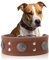 Lederhalsband Hund, 5cm Hundehalsband Leder Breit, Einstellbar Hunde Halsbänder Mit Metallschnalle, Halsband Hund Breit Für Große Und Mittelgroße Hunderassen L