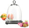 Sendez Glasglocke auf Schieferplatte 15x20cm Glashaube Glaskuppel Glocke Glasdom Haube