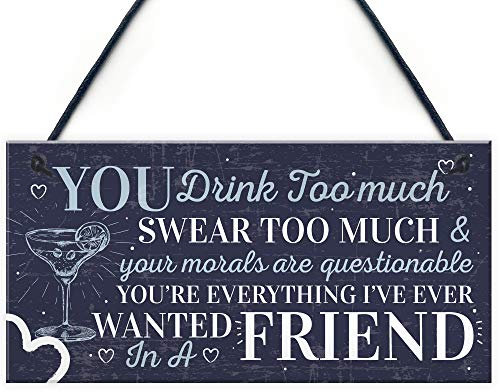 RED OCEAN Funny Best Friend Friendship Sign Drink Too Much Alcohol Gin Vodka Birthday Gift Plaque