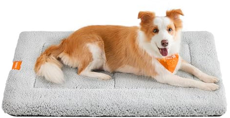 Feandrea Hundedecke, Haustier Decke, für Hunde, Katzen, 105 x 70 cm, XL, maschinenwaschbar, trocknergeeignet, rutschfest, hellgrau PPB020G01