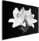 Feeby Impression Sur Toile Fleurs Lys XXL 120x80 cm Tableaux Tableau Mural Image Moderne Photo Décoration Murale Artistique Photographie Design Chambre Salon Cuisine Macro Noir Et Blanc