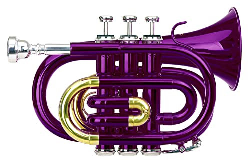 Classic Cantabile Brass TT-400 Bb-Taschentrompete (Messing, Schallbecher Durchmesser: 93 mm, Bohrung: 11,8 mm, Stimmung: Bb, inkl. Leichtkoffer, Mundstück, Putztuch, Handschuhe) violett