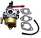 AYPOHU Vergaser Für Troy Bilt Squall 210 Schneefräse 31A-2M5E766 31A-2M5E711 31A-2M5E766 Dichtung Vergaserfilter Wolf Garden Tools Teleskopgriff