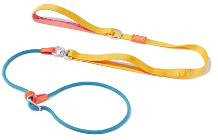 HowGo Retrieverleine für Hunde mit zugstopp, Anti-Zug(Mehrfarbig,1.6 M) | Hundeleine mit Schlupfleine, Trainingsleine, Anti-Zug-Leine und Halsband, robustes Nylon, gepolsterter Griff, für alle Rassen