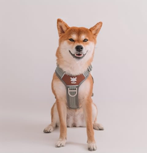 Foxys® CountryFox™ Pro, ergonomisches Hundegeschirr, robust, gepolstert, leicht und verstellbar, Grau, Größe L