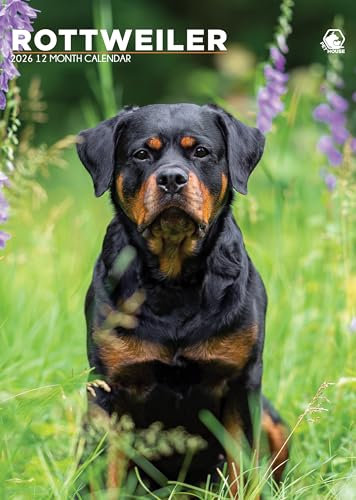 Rottweilers Kalender 2026 - Ehre die Stärke und Treue des Rottweilers