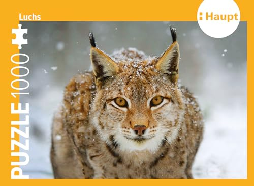 Luchs – Puzzle: 1000 Teile