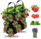 Ulikey 2pcs Sac de Plantation pour Fraise, Sacs de Culture à Fraises Suspendu Jardin avec 13 Trous, Sac de Plantation pour Fraises, Herbes, Tomates - 3 Gallons (2pcs - Noir)