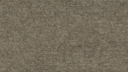 Tretford Teppichboden Interlife 2 Meter Breit vorgegebene Größen Farbe 538Alumini, Größe 50cm