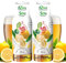 FruttaMax Sciroppo alla Birra al Limone Senza Zucchero – 50% Frutta Vera | Sciroppo a Basso Contenuto Calorico per Gasatori, Cocktail e Dessert – 2 x 500ml
