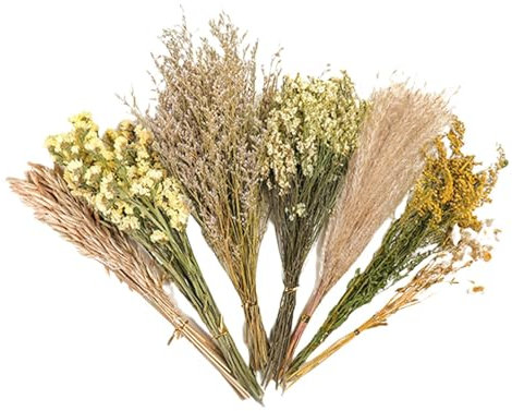 Flower Hamster Bedding - Small Animal Flowers Habitat Decor | Mice Habitat Enclosure Decor | Natural Hamster Bedding Flowers | Natural Ear of Grain Flower | Habitat Decor Sprays Set for Hamsters