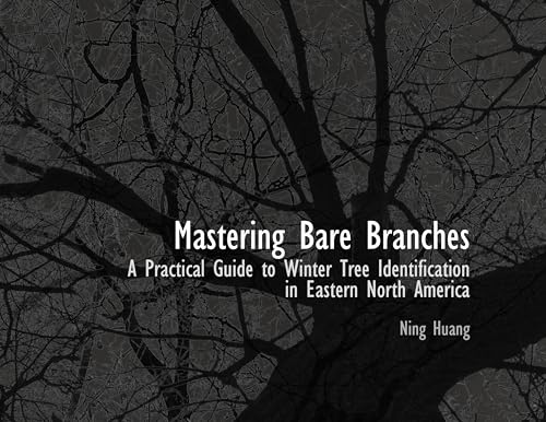 Mastering Bare Branches: A Practical Guide to Winter Tree Identification in Eastern North America
