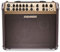 Fishman Loudbox Artist Amplificador de guitarra acústica Bluetooth 120W
