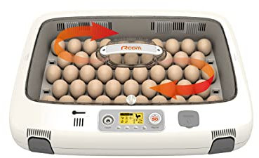 Rcom Premium Geflügelbrüter 50 Pro DO, Inkubator,Brutkasten,Brutapparat,Brutgerät,Brutautomat,Brüter,Brutschrank,Incubator,Brutmaschine