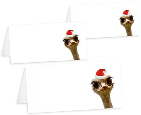 Unser-Festtag Weihnachts-Tischkarten Motiv Lustiger Vogel. Weihnachtsfeier Firma Privat Wichtelparty Nikolaus. Set mit 10 Tischkarten.